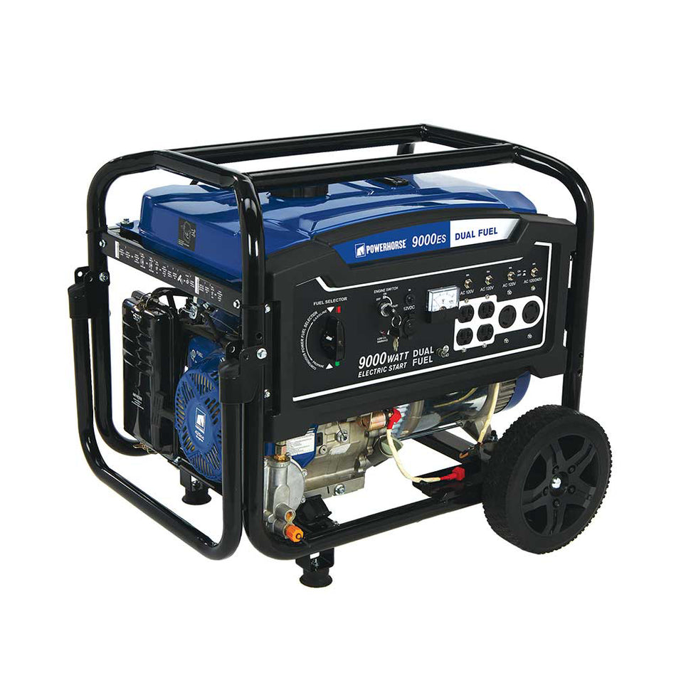 Powerhorse Portable Generator — 9000 Surge Watts, 7250 Rated Watts Electric Start (750133)