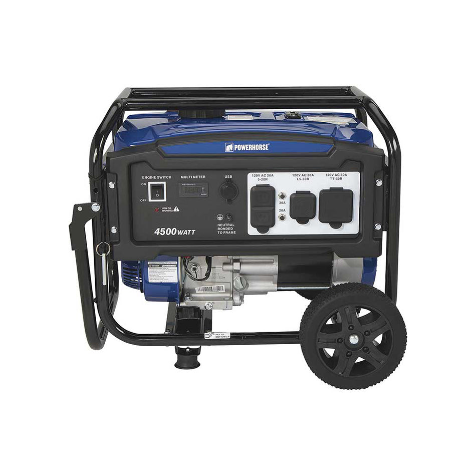 Powerhorse Portable Generator — 4500 Surge Watts, 3600 Rated Watts (102223)